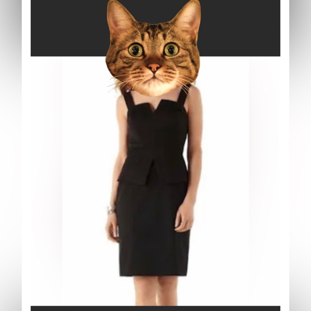 NWT-Party Or Business Black Perfect Peplum Sleeveless Slimming Sheath Dress